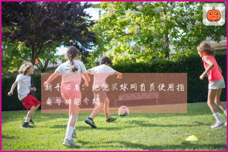 新手必看：亿德买球网首页使用指南与功能介绍