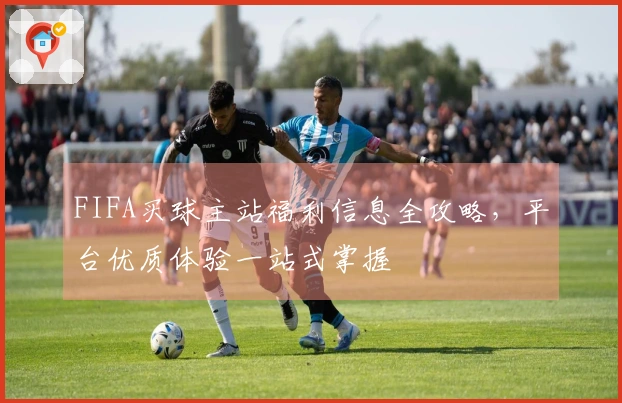 FIFA买球主站福利信息全攻略，平台优质体验一站式掌握