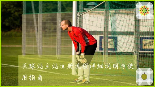 买球站主站注册流程详细说明与使用指南