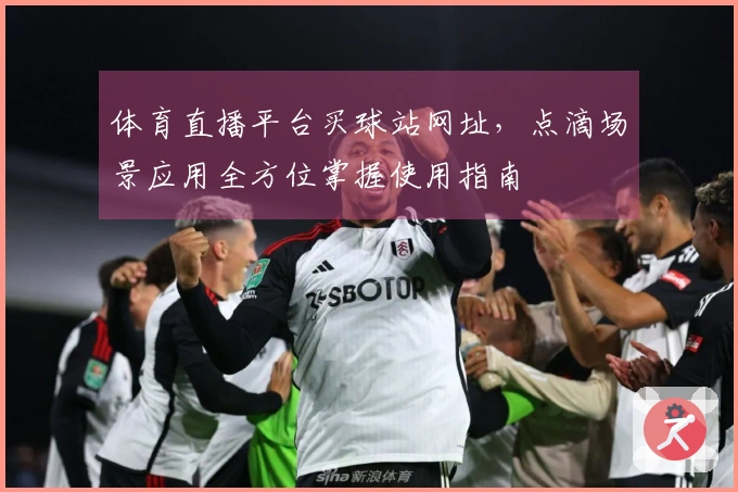 体育直播平台买球站网址,点滴场景应用全方位掌握使用指南