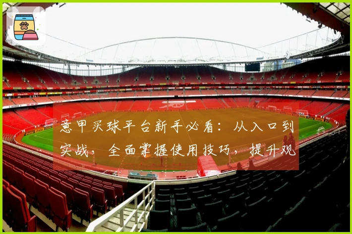 意甲买球平台新手必看:从入口到实战,全面掌握使用技巧,提升观赛体验