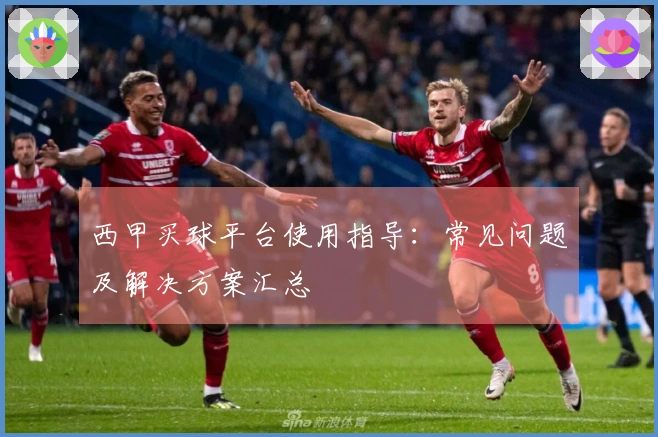 西甲买球平台使用指导：常见问题及解决方案汇总