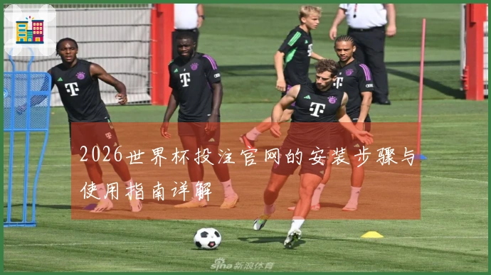 2026世界杯投注官网的安装步骤与使用指南详解