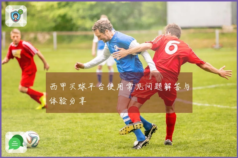西甲买球平台使用常见问题解答与体验分享