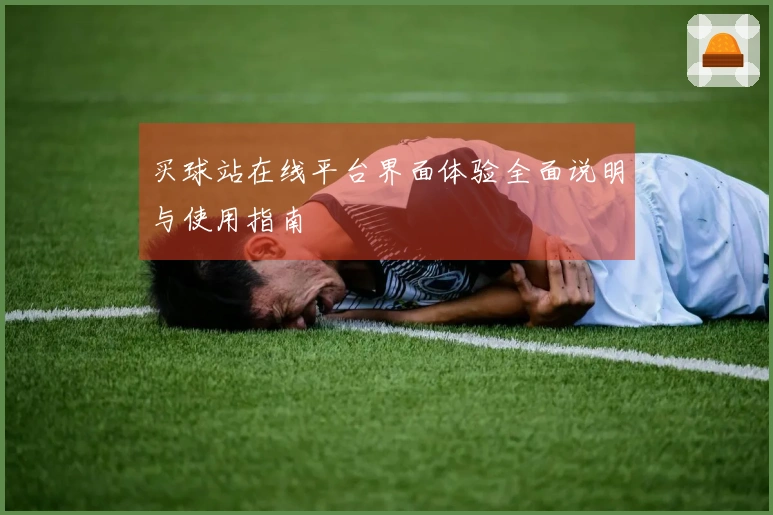 买球站在线平台界面体验全面说明与使用指南