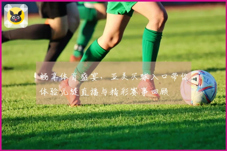 畅享体育盛宴，亚美买球入口带你体验无缝直播与精彩赛事回顾
