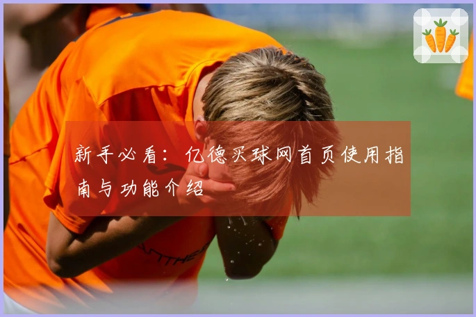 新手必看：亿德买球网首页使用指南与功能介绍