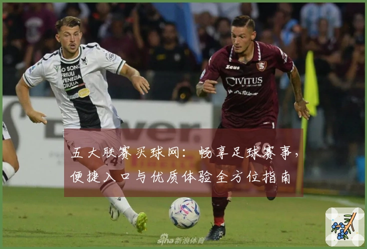 五大联赛买球网：畅享足球赛事，便捷入口与优质体验全方位指南