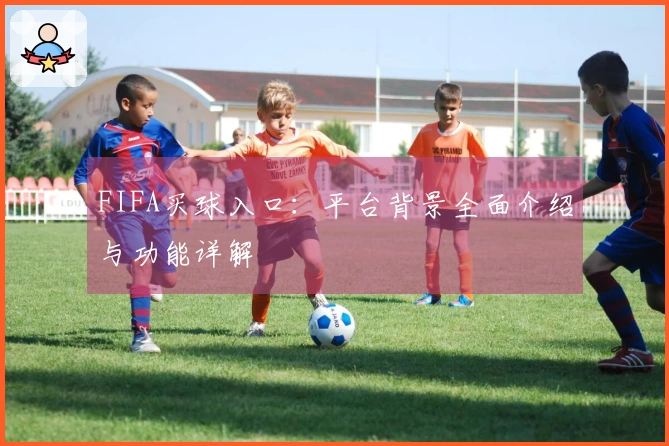 FIFA买球入口：平台背景全面介绍与功能详解