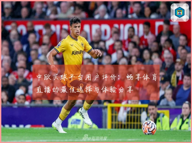 中欧买球平台用户评价：畅享体育直播的最佳选择与体验分享