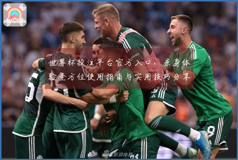 世界杯投注平台官方入口，亲身体验全方位使用指南与实用技巧分享