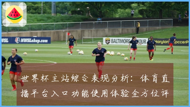 世界杯主站综合表现分析：体育直播平台入口功能使用体验全方位评测