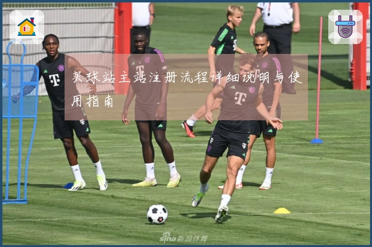 买球站主站注册流程详细说明与使用指南